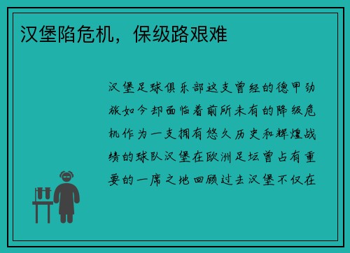 汉堡陷危机，保级路艰难